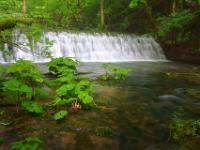 Breite Kaskade vor zweiter Brücke - Gauchachschlucht